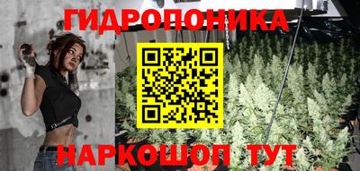 крисы Чебоксары
