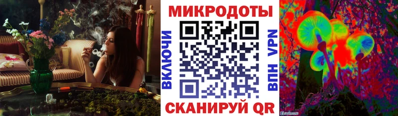 Галлюциногенные грибы Psilocybe  как найти   Анапа 